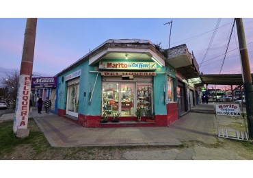 7 LOCALES COMERCIALES SOBRE AVENIDA